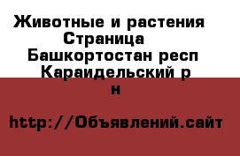  Животные и растения - Страница 3 . Башкортостан респ.,Караидельский р-н